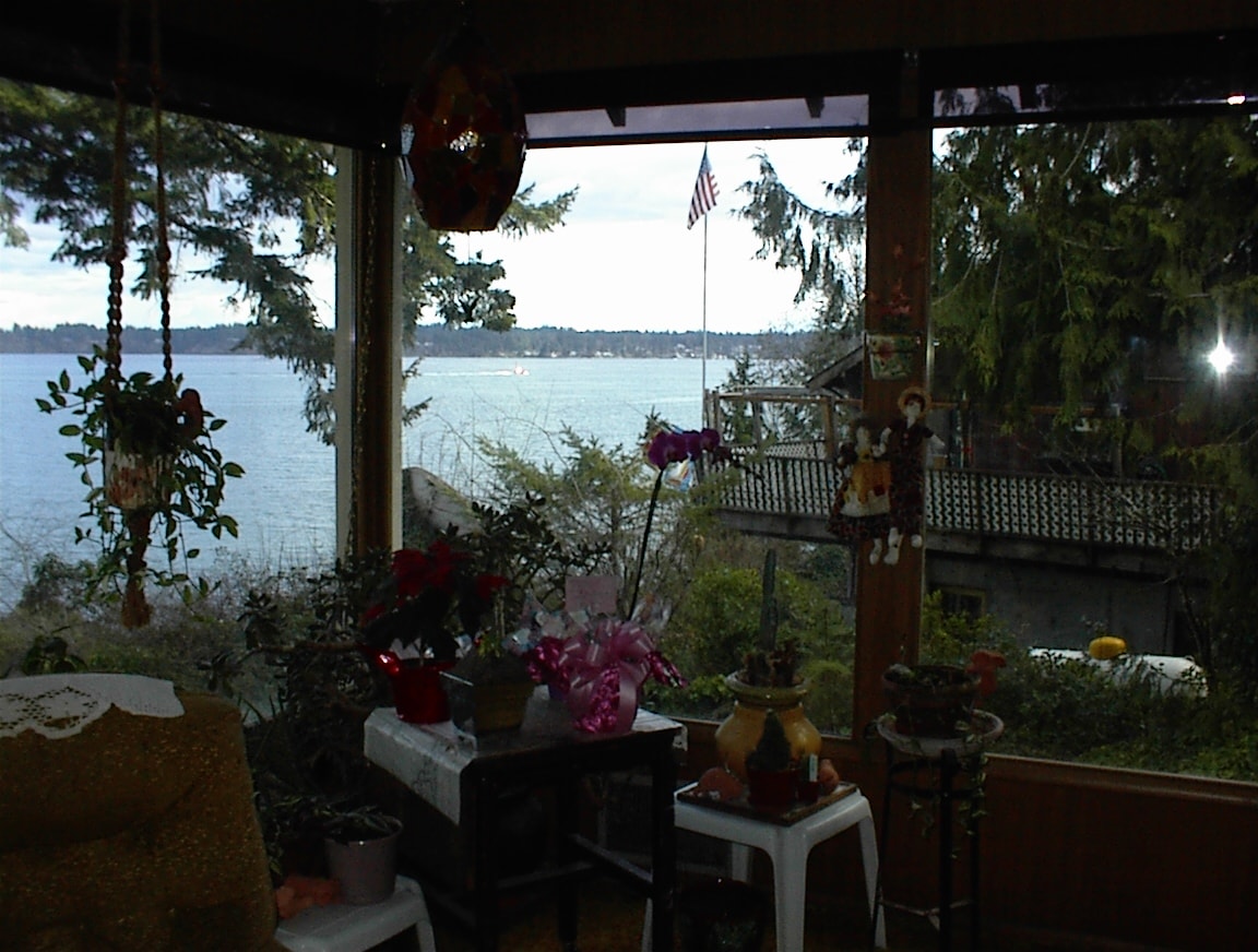 Living room window view of the bay with flowers, plants and American flag outside