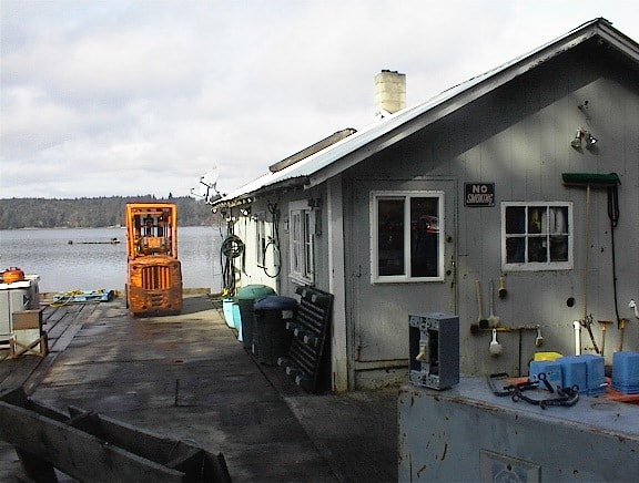 Waterfront dock building with forklift and bay in the background