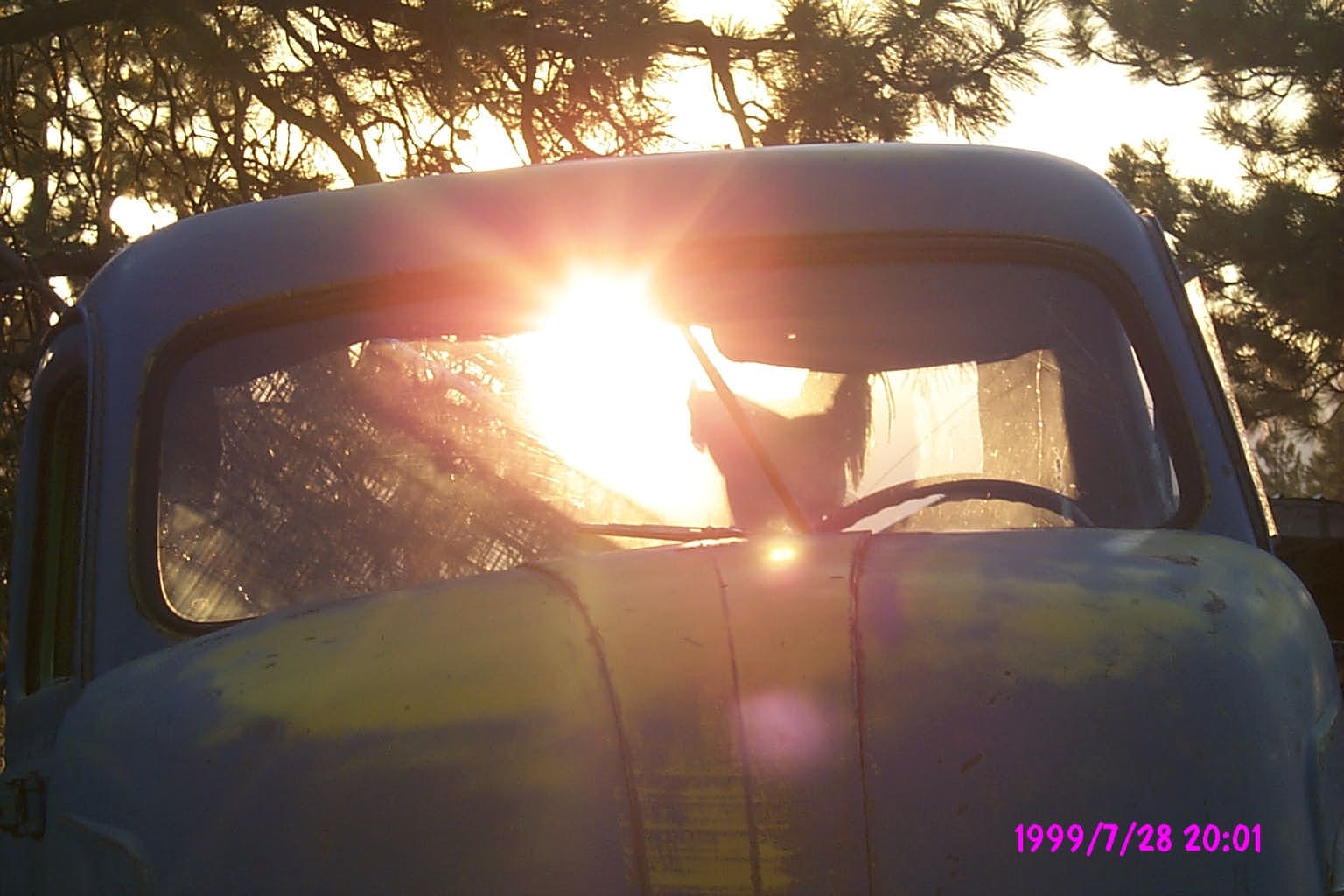 Rooster silhouetted in the cab of an old truck at sunset